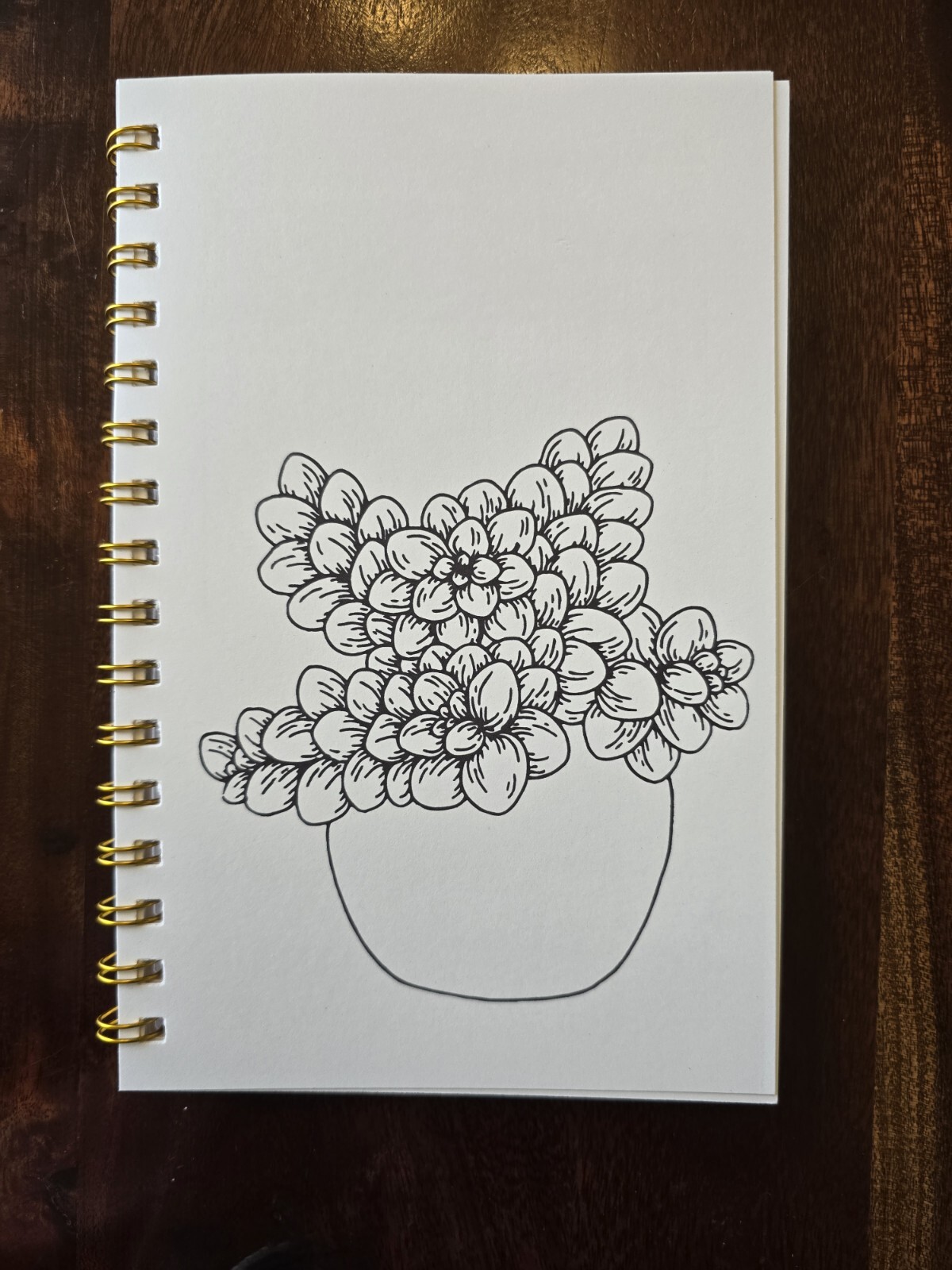 House Plants Coloring books for adults. A5 Size Coloring Book 8.5 in X 5.5 in.