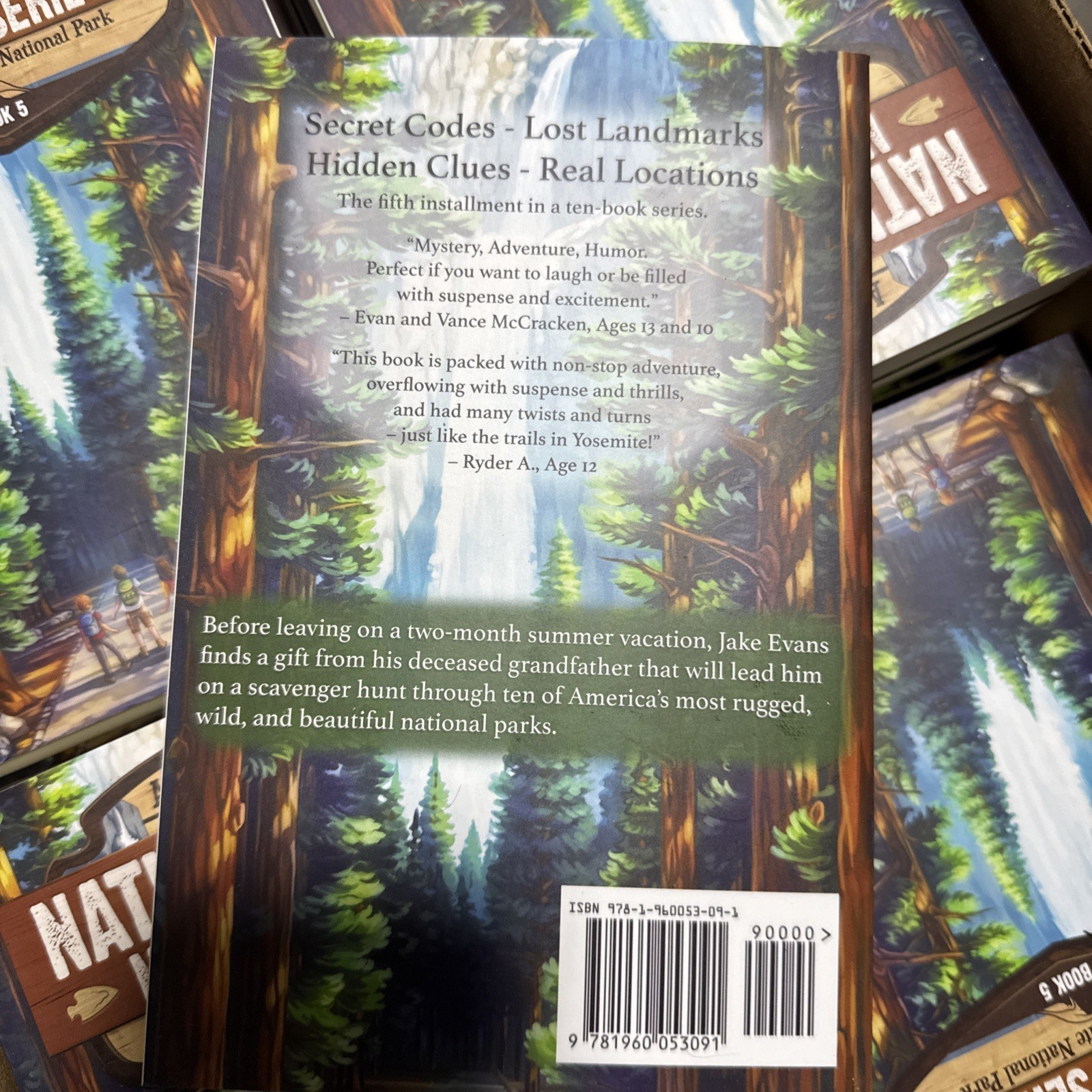 Quest in Yosemite National Park: A Mystery Adventure by Aaron Johnson Paperback