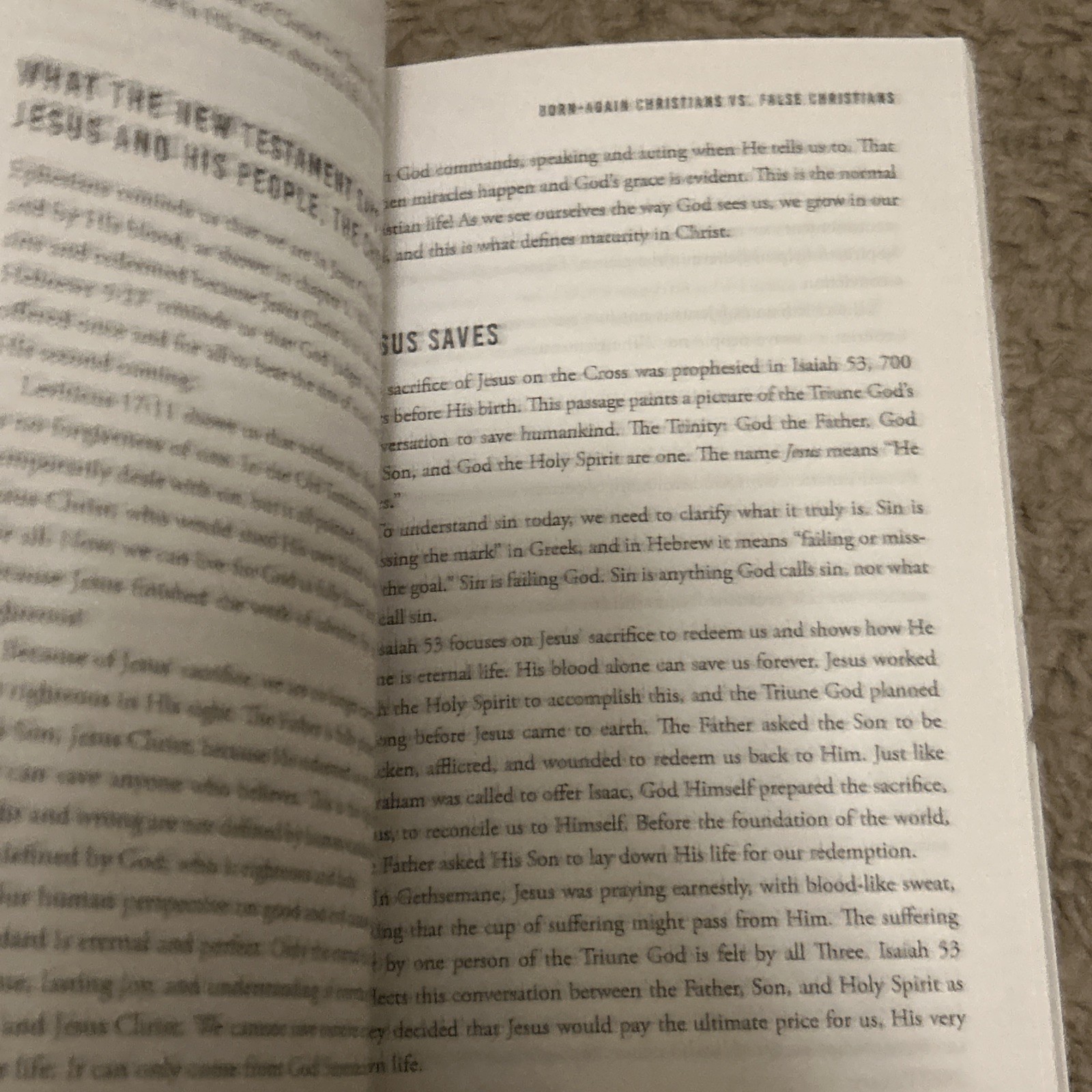 Steve Kang 8 Hours in Hell (Paperback) Nde Collection
