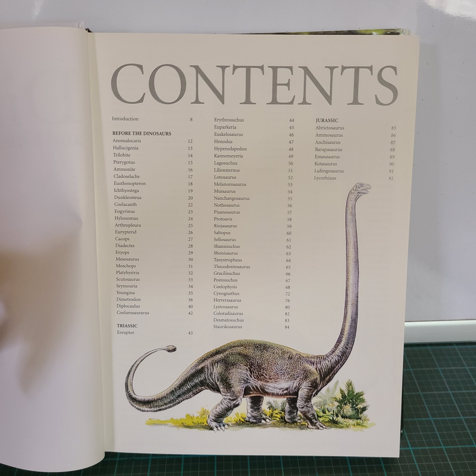 Dinosaurs & Other Prehistoric Animals Book 448 Pages Amber Books