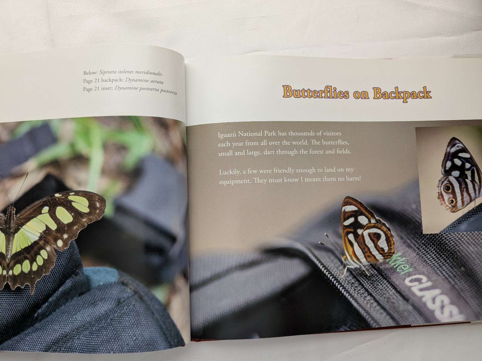 Butterflies of Iguazu Falls, Argentina 2010 SIGNED William J. Cooper Ltd 1st Ed