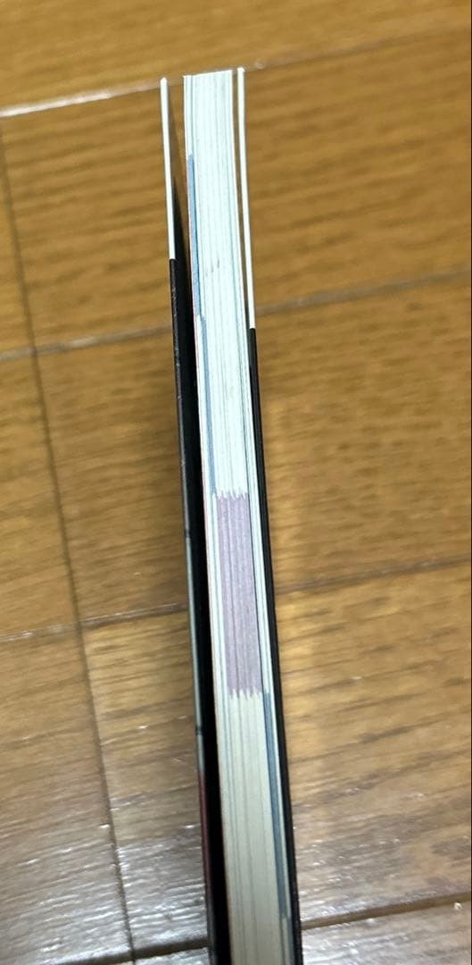 Silent Hill Perfect Guide Book Japanese Edition 6.69″ x 8.27″