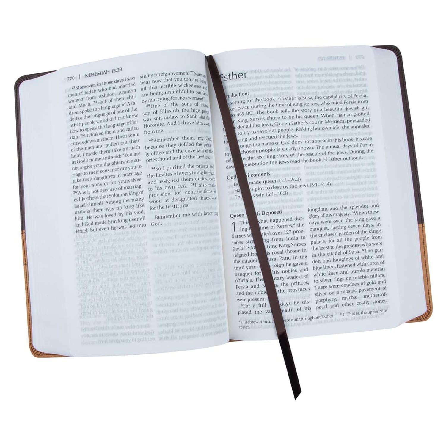 Brand New NIV Large Print Holy Bible Leather Soft Chocolate Amber Zondervan