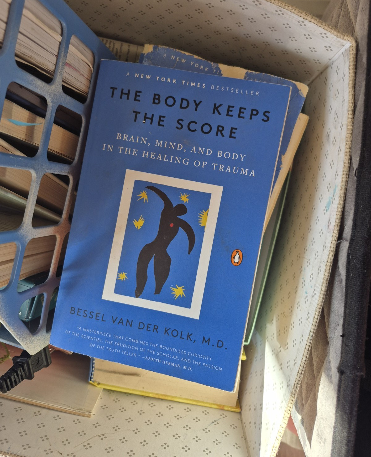 The Body Keeps the Score Paperback (2015) Bessel van der Kolk, Penguin Books