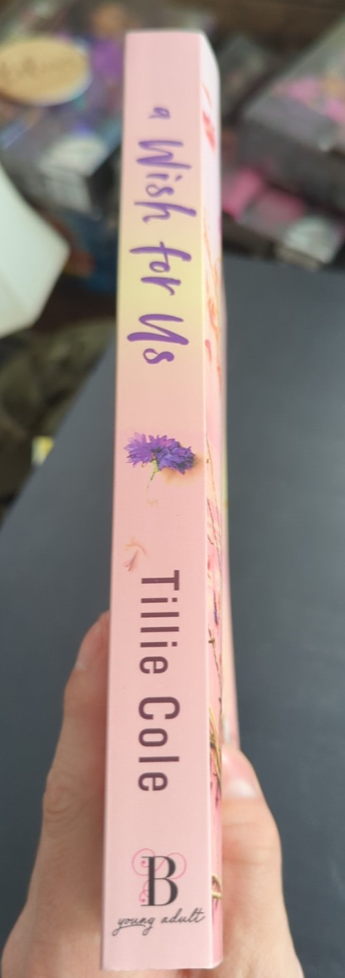 2025 A Wish for Us by Tillie Cole Paperback