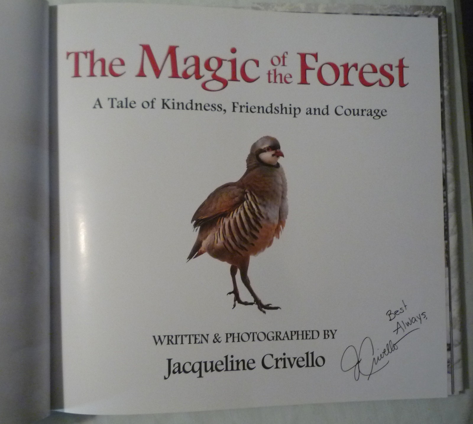 The Magic of the Forest Jacqueline Crivello Hardcover SIGNED NEW