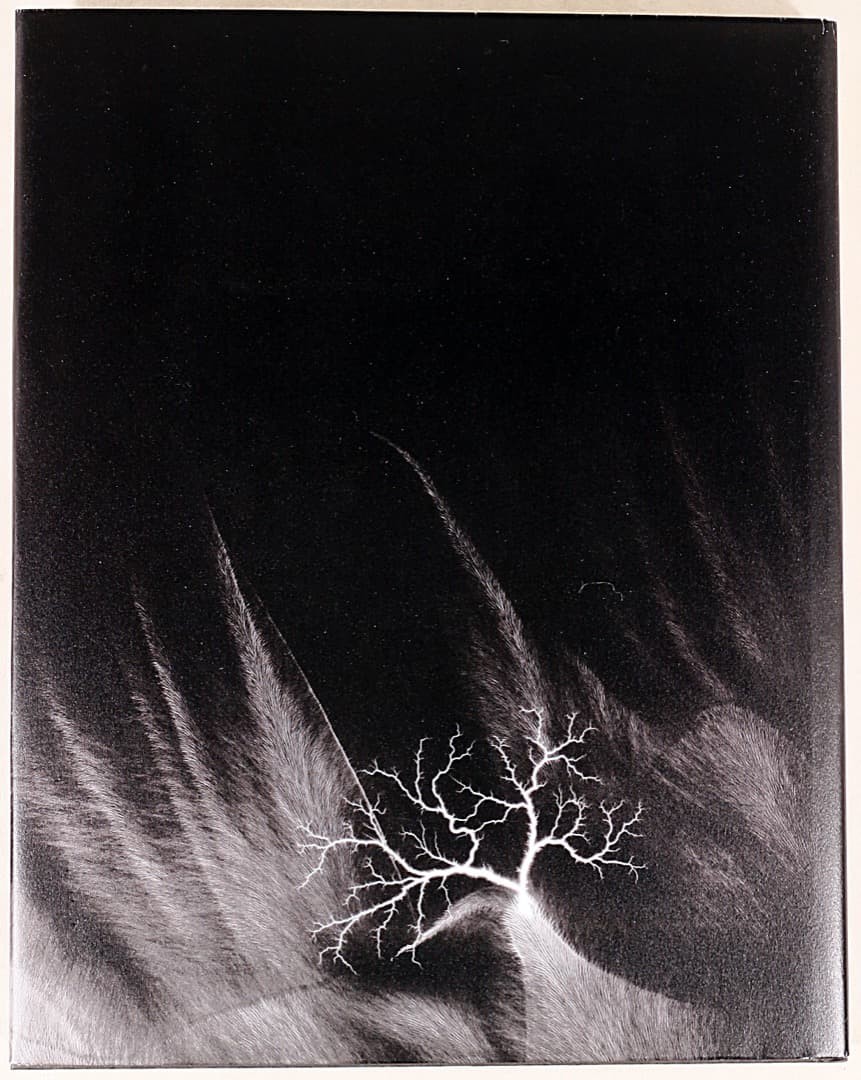 Hiroshi Sugimoto Nature of Light Hardcover Photography Book 11.8×9.5in
