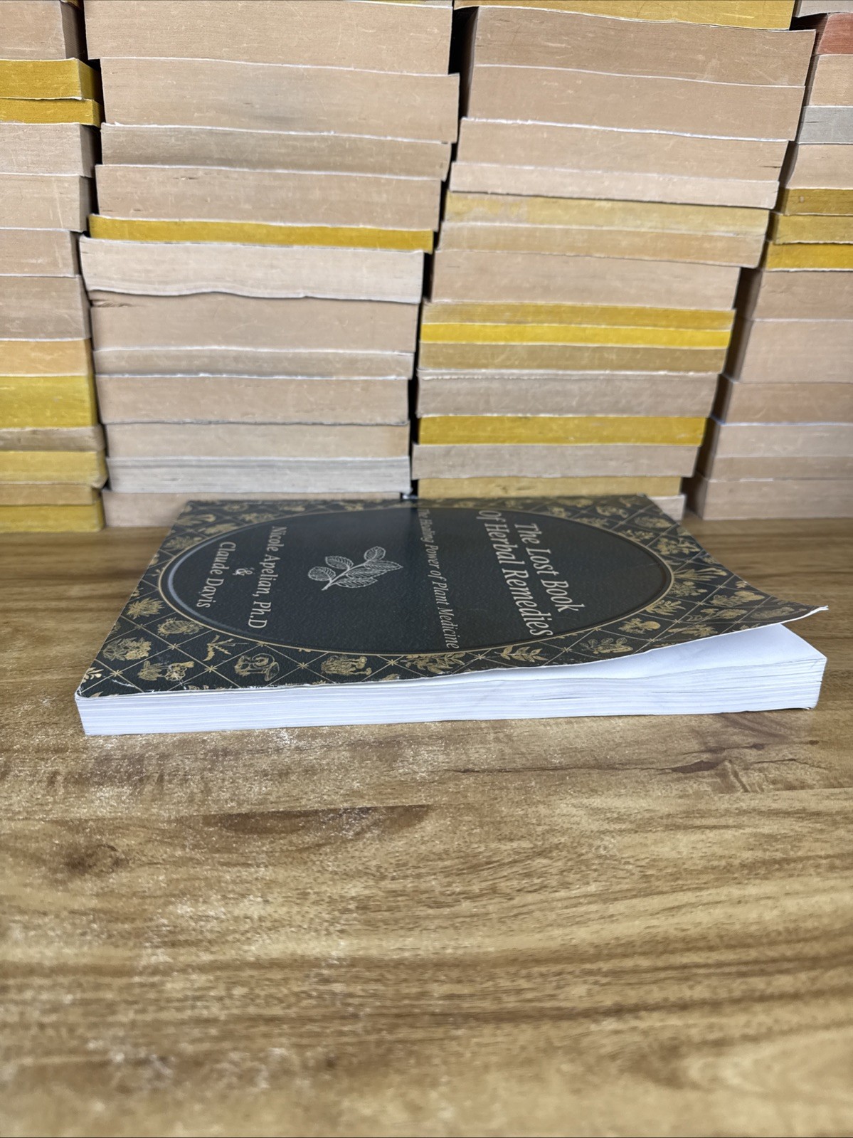 The Lost Book Of Herbal Remedies Healing Power Plant Medicine Paperback