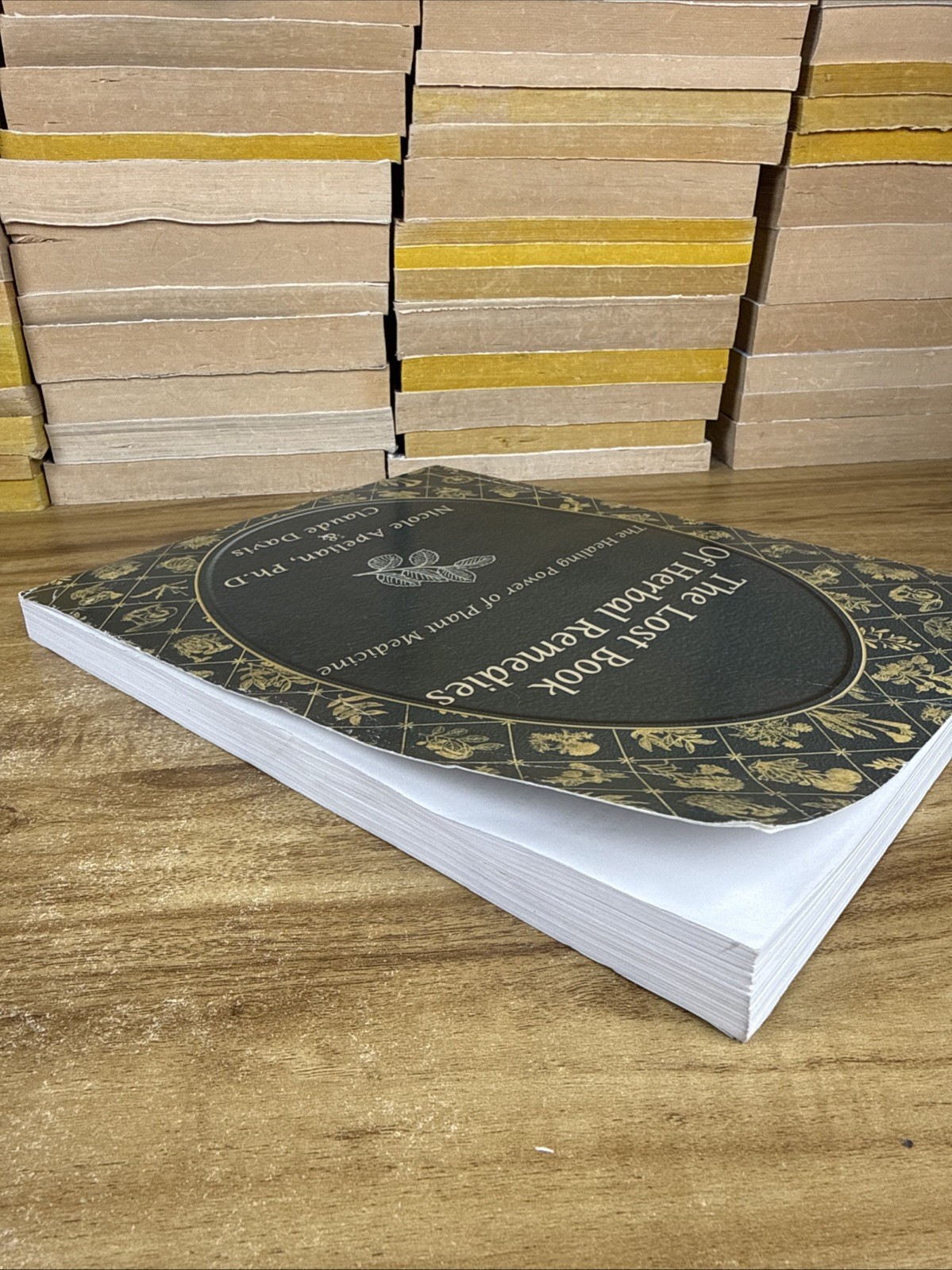 The Lost Book Of Herbal Remedies Healing Power Plant Medicine Paperback