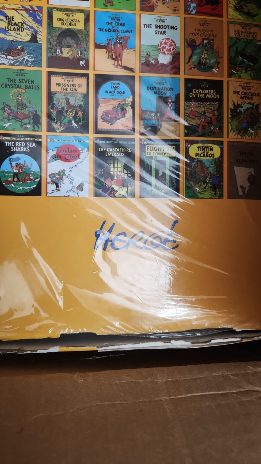 The Adventures of Tintin by Hergé: 23 Books Box Set – Ages 7+ -Paperback