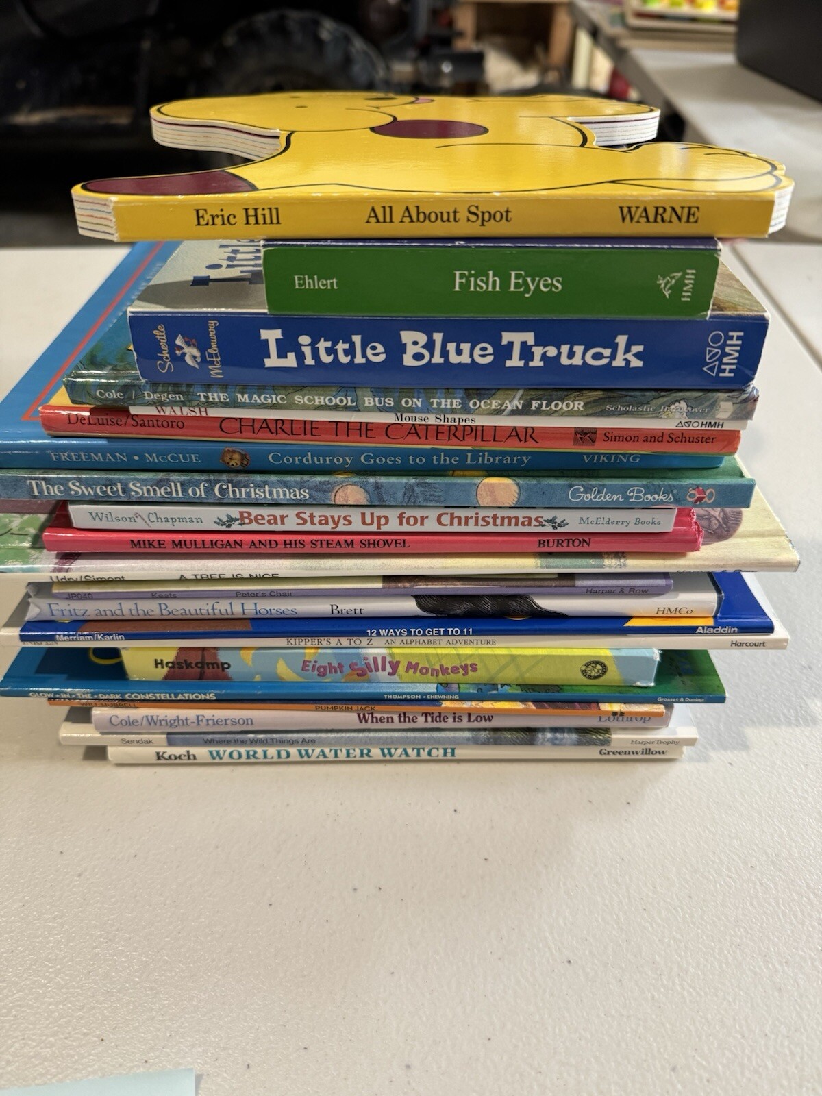 Lot Of Children’s Books, 21 Books In Total, Assorted Authors, Great Shape