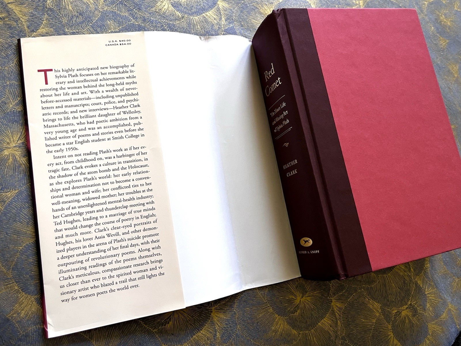 RED COMET: THE SHORT LIFE AND BLAZING ART of SYLVIA PLATH Heather Clark HC VG+