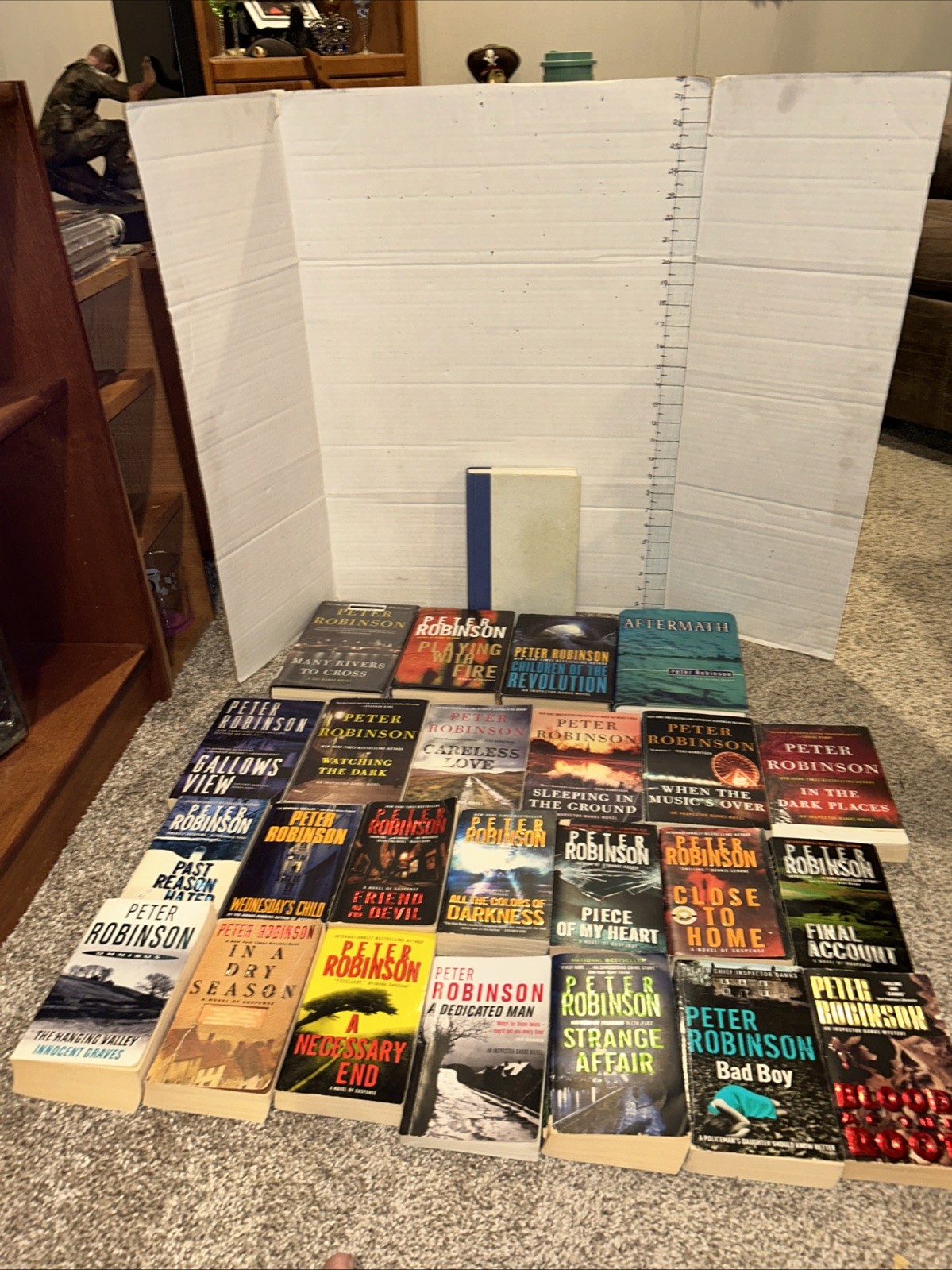 Huge Lot (25) Peter Robinson Books Inspector Banks Hardback & Paperback