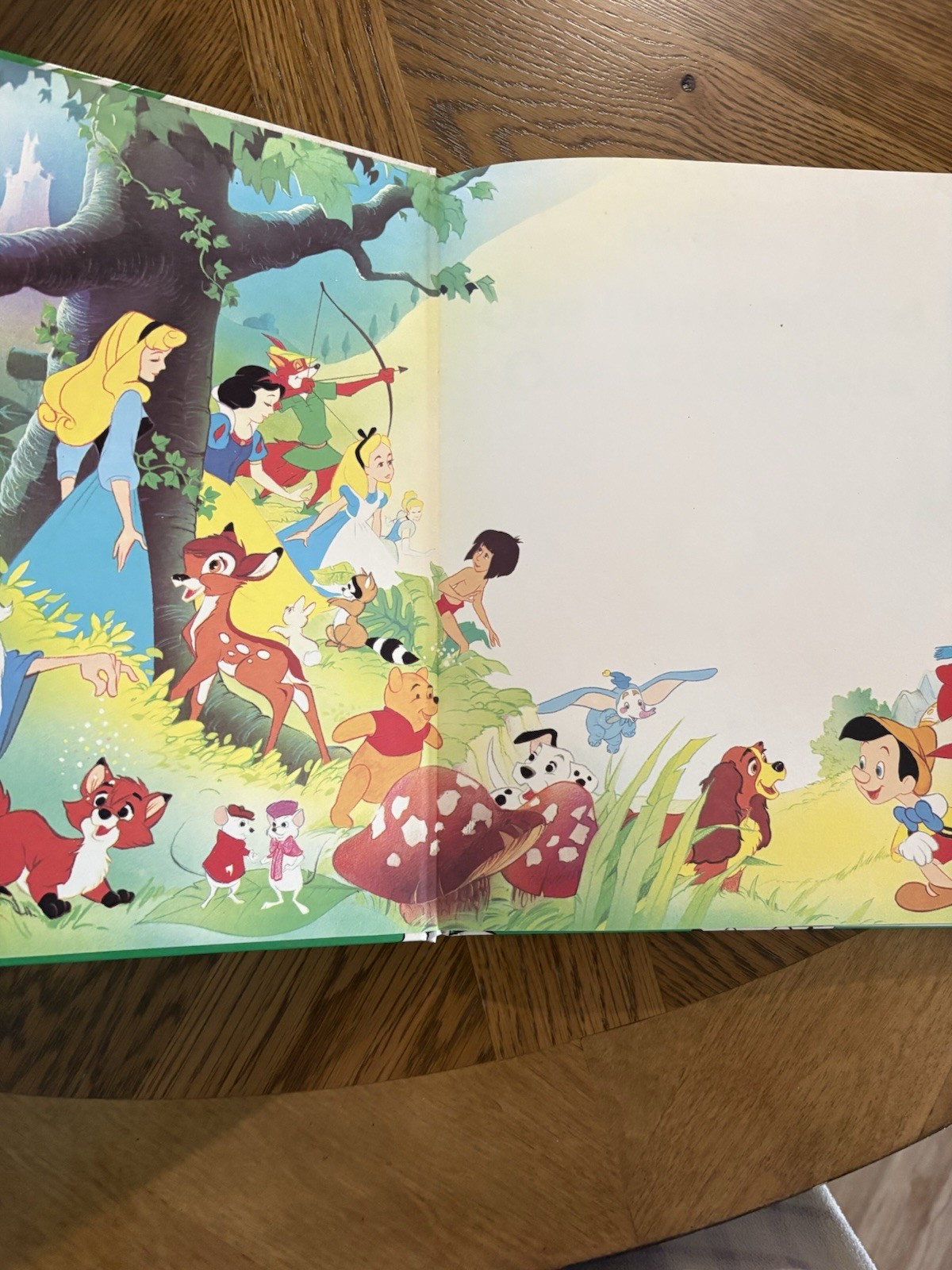 NEW DISNEY CLASSIC SERIES, 101 DALMATIANS GALLERY/TWIN BOOKS 1989