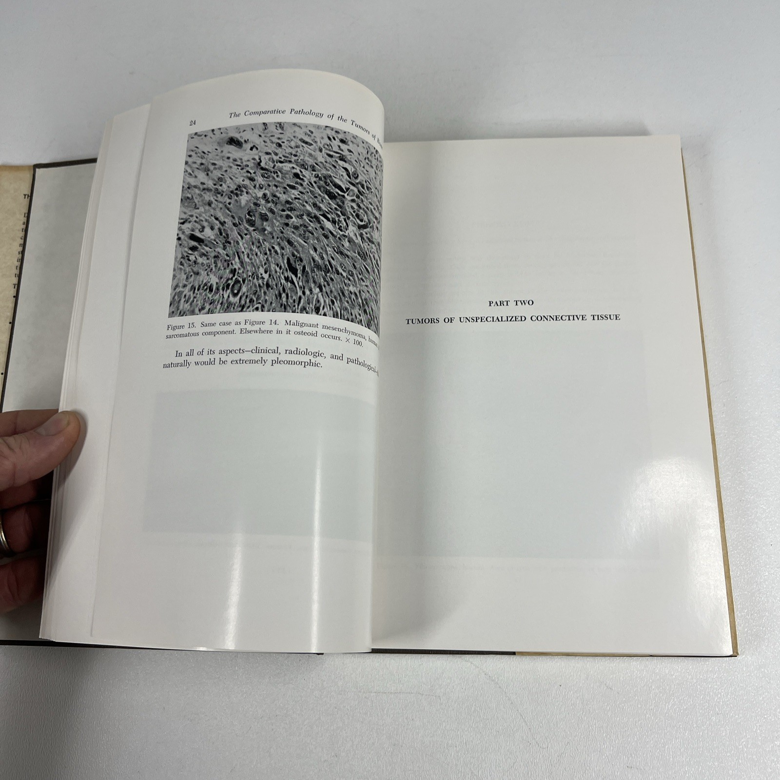 Comparative Pathology of the Tumors of Bone by Jacobson 1971 CSI Vintage Medical