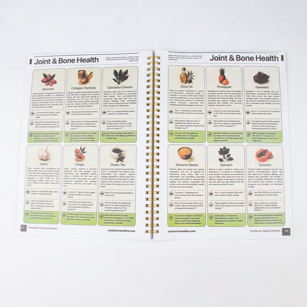 The Natural Healing Handbook, Spiral-Bound Guide for Herbal Remedies and Natural