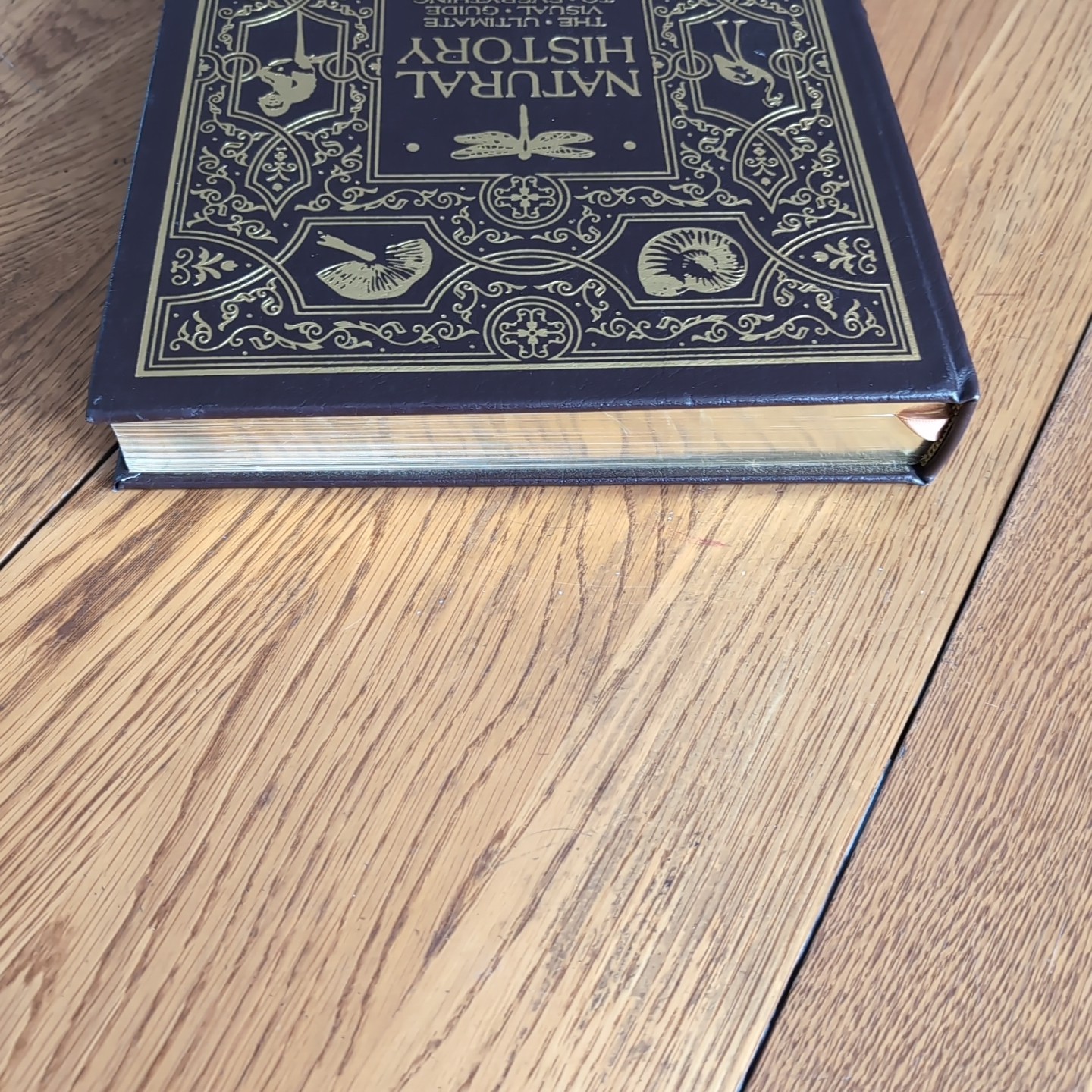 Smithsonian Natural History: The Ultimate Visual Guide Easton Press