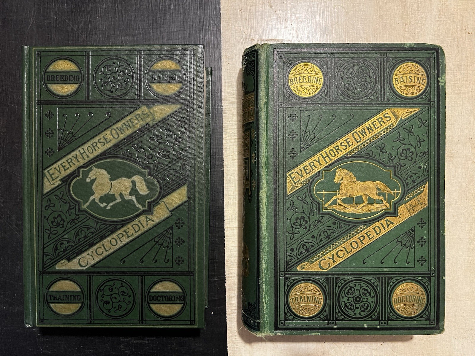Every Horse Owners’ Cyclopedia – Diseases, And How To Cure Them 1875 & 1971