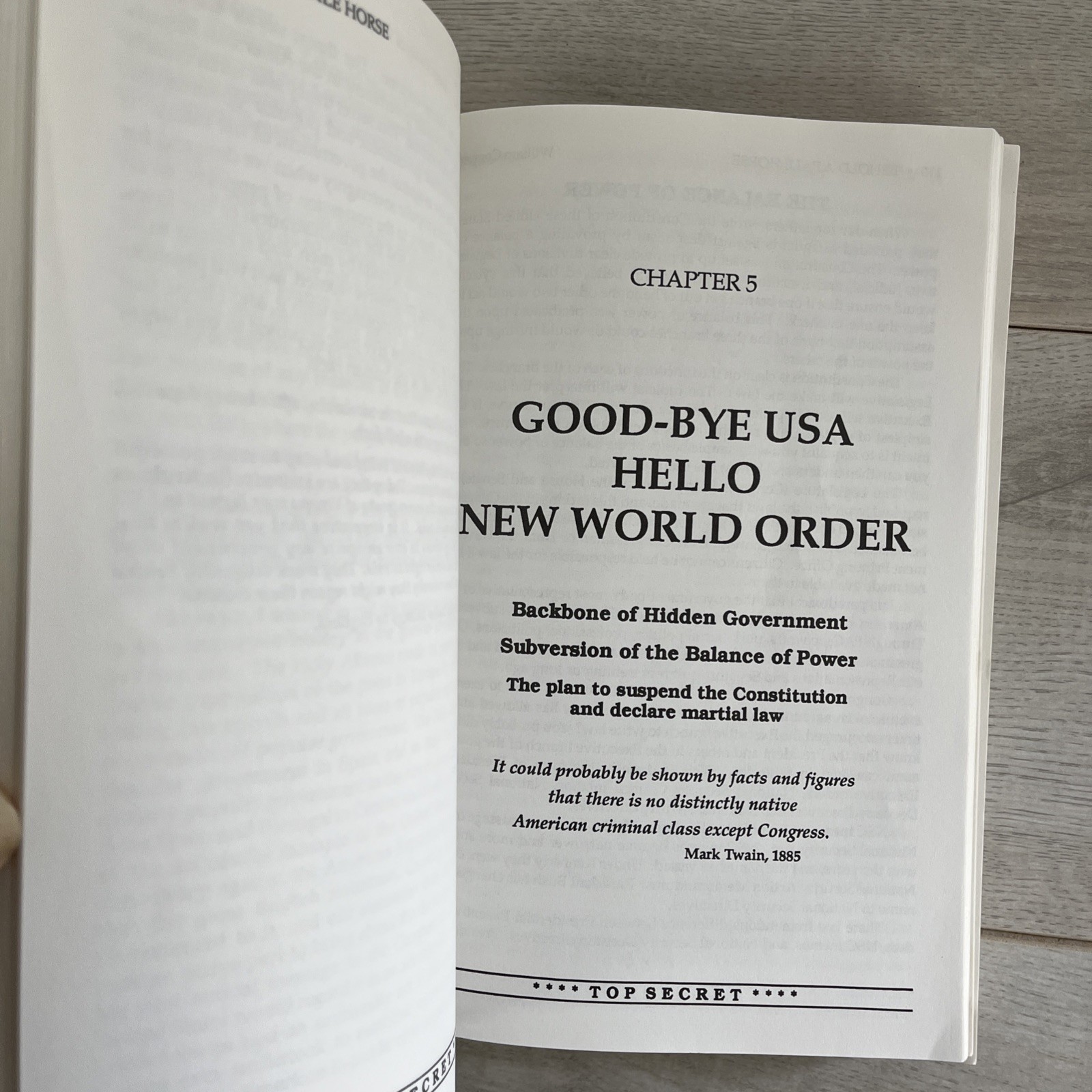 Behold a Pale Horse Paperback 1991 534 Pages By Milton William Cooper W/ Trifold
