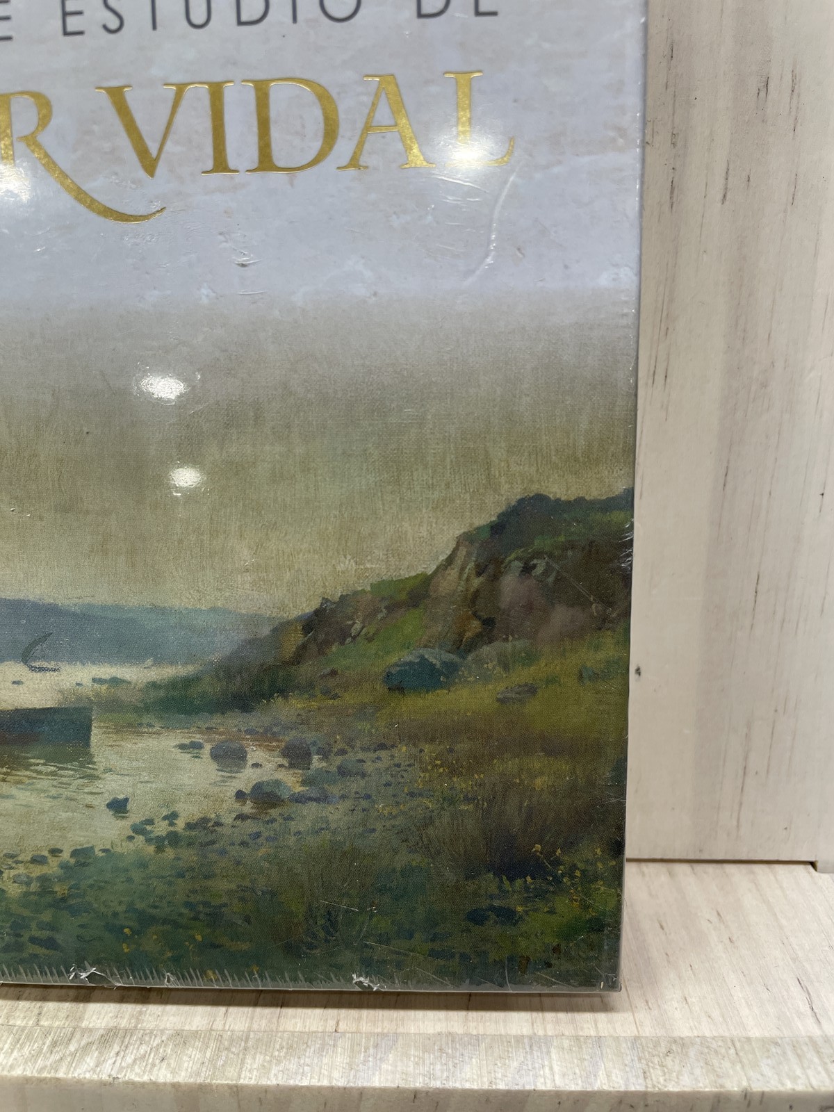 RVR 1960 Biblia de estudio de Cesar Vidal tapa dura Spanish Version 2025 HC