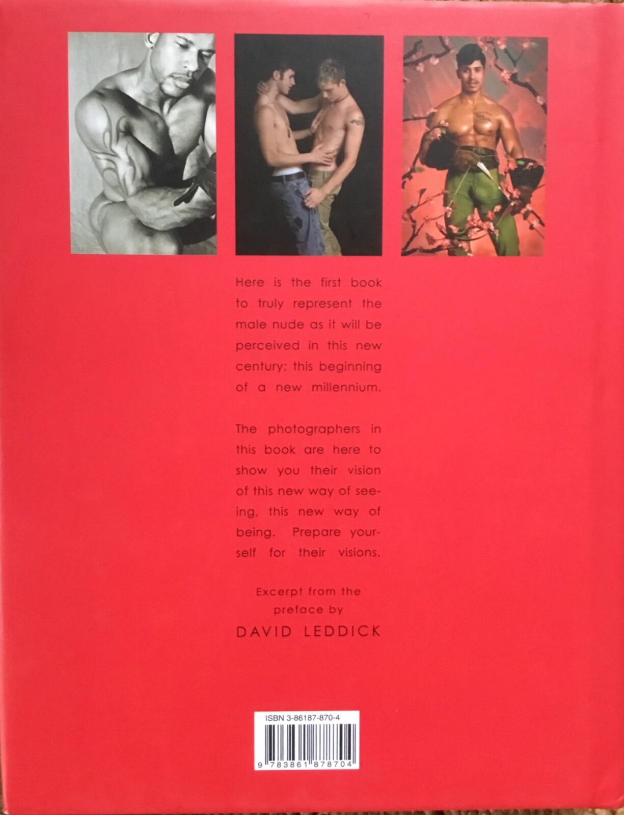 VISIONS: Contemporary Male Photography 2006 Printed in Germany Nudes 352 pages