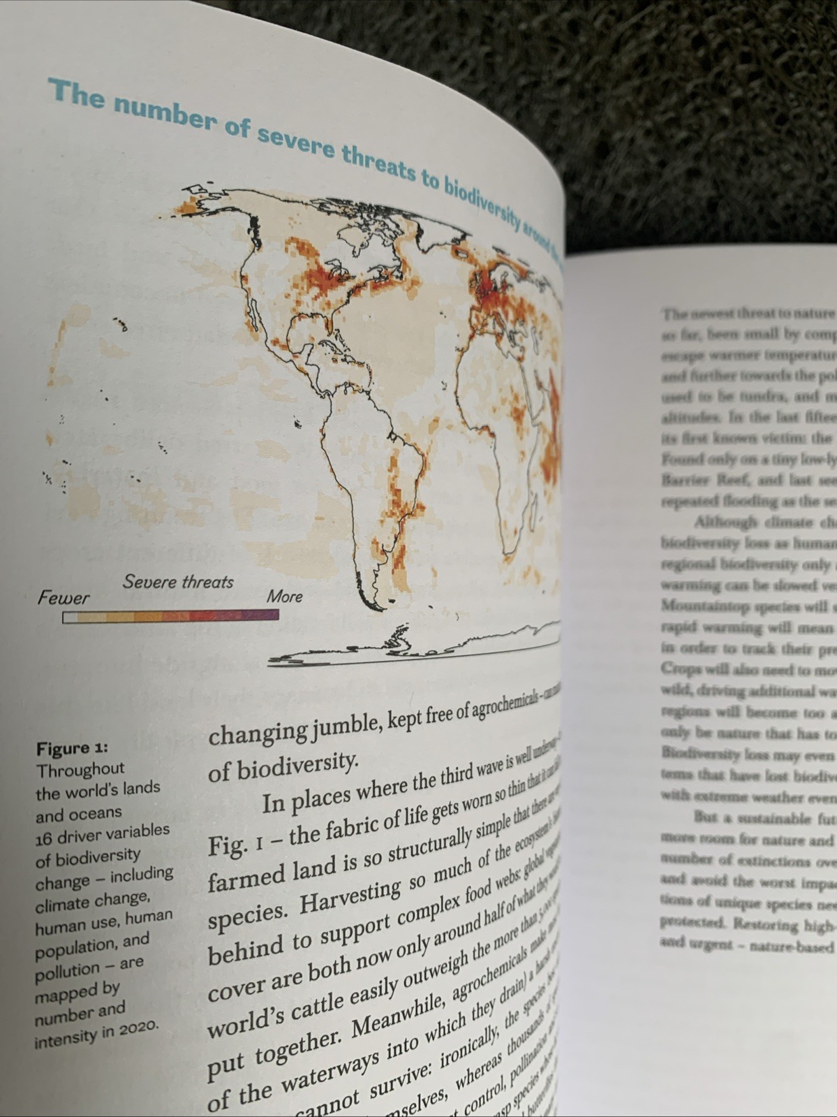 Climate Book : The Facts and the Solutions by Greta Thunberg (2024, HC-UK) : NEW