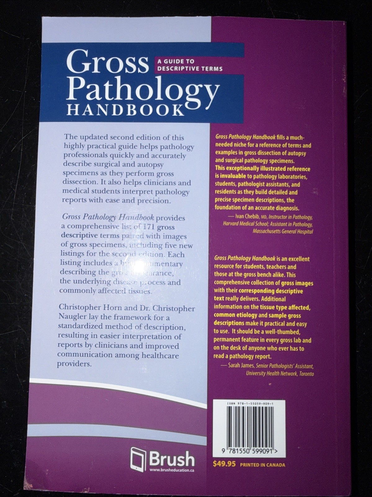 Gross Pathology Handbook : A Guide to Descriptive Terms, Paperback by Horn, C…