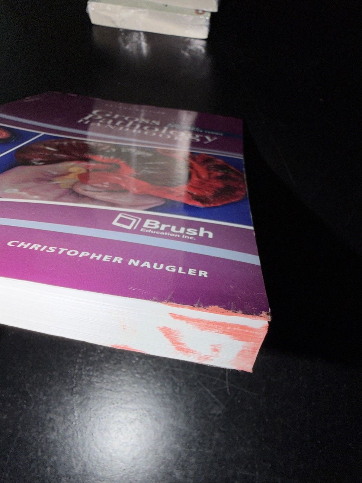 Gross Pathology Handbook : A Guide to Descriptive Terms, Paperback by Horn, C…