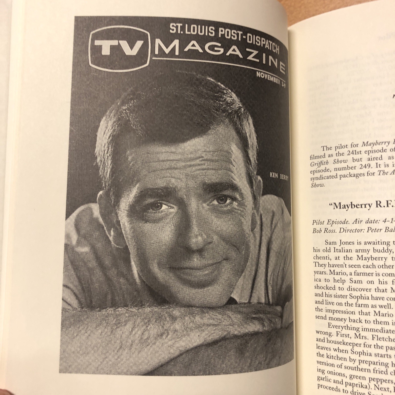 A Guide to Television’s Mayberry R.F.D. by David Fernandes Dale Robinson HC