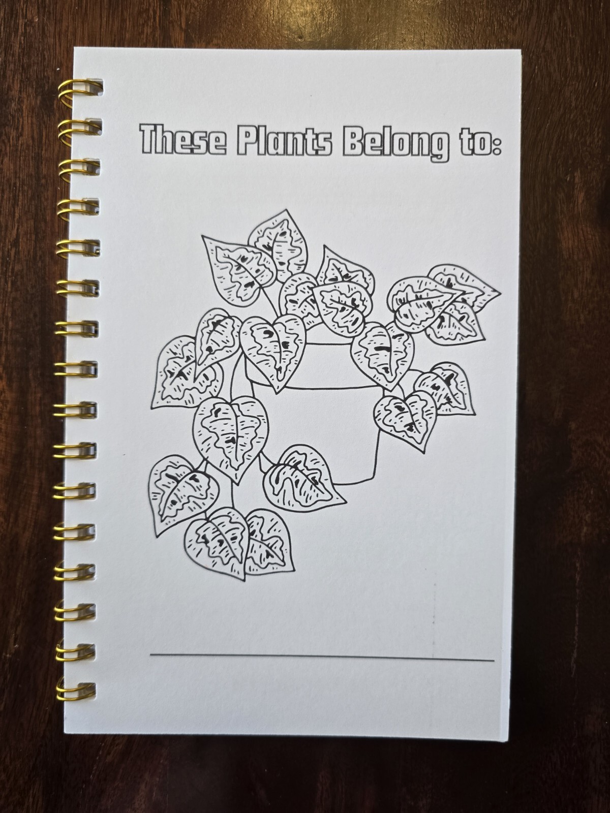 House Plants Coloring books for adults. A5 Size Coloring Book 8.5 in X 5.5 in.