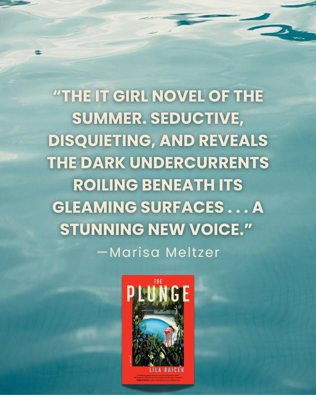 Plunge : A Novel by Lila Raicek (2026, Hardcover) BRAND NEW