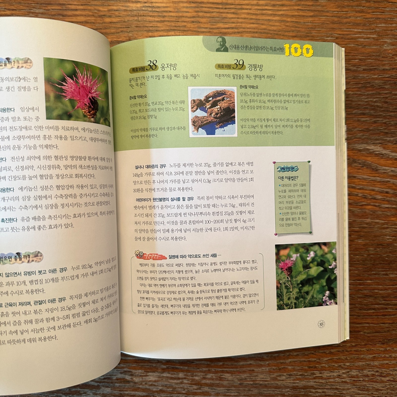 Traditional Korean Medicine by Kim Tae-Yeong 2003 Paperback Book VG