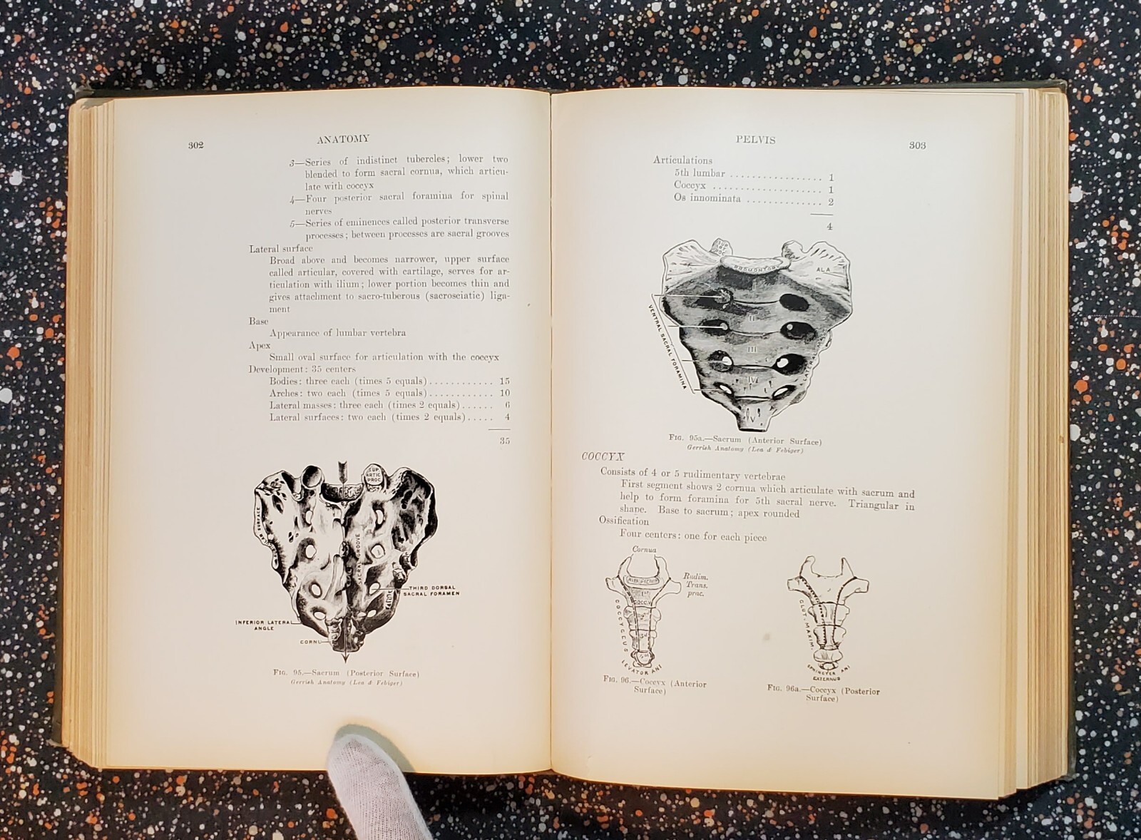 Medicine And The Allied Sciences, Samuel Fomon, Volume 1, 1919, Hardcover