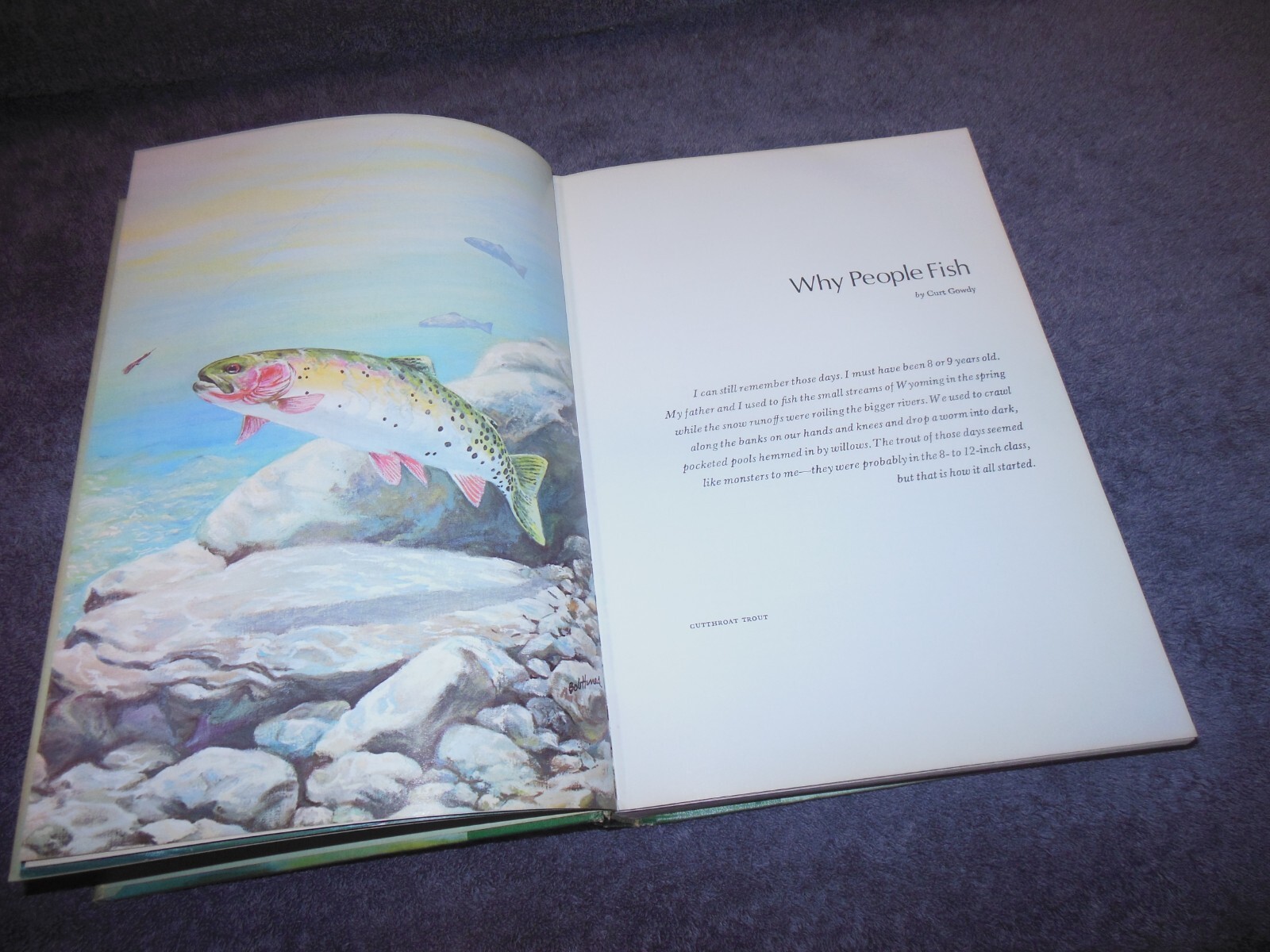 Sport Fishing USA Book US Department Of The Interior 1971 Hard Cover 464 Pages