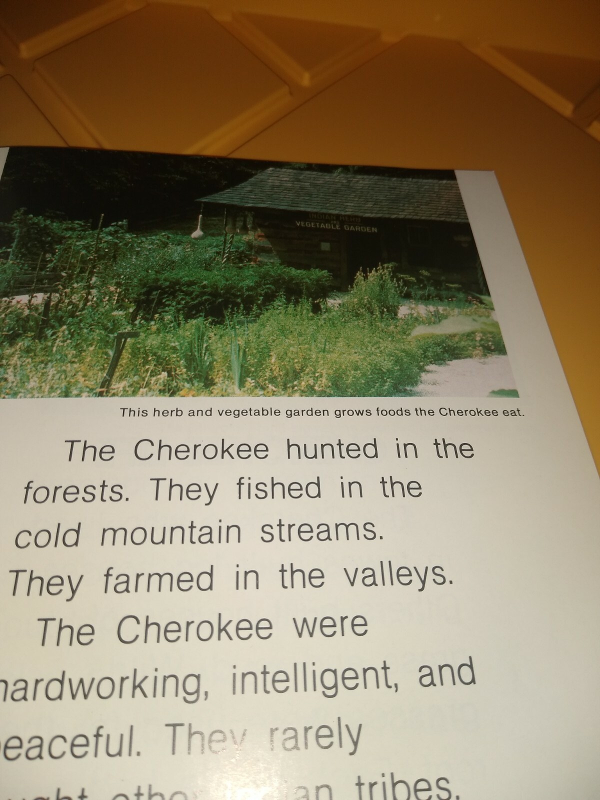 Very rare The Cherokee 1985 book children’s book a new true book 47 pages