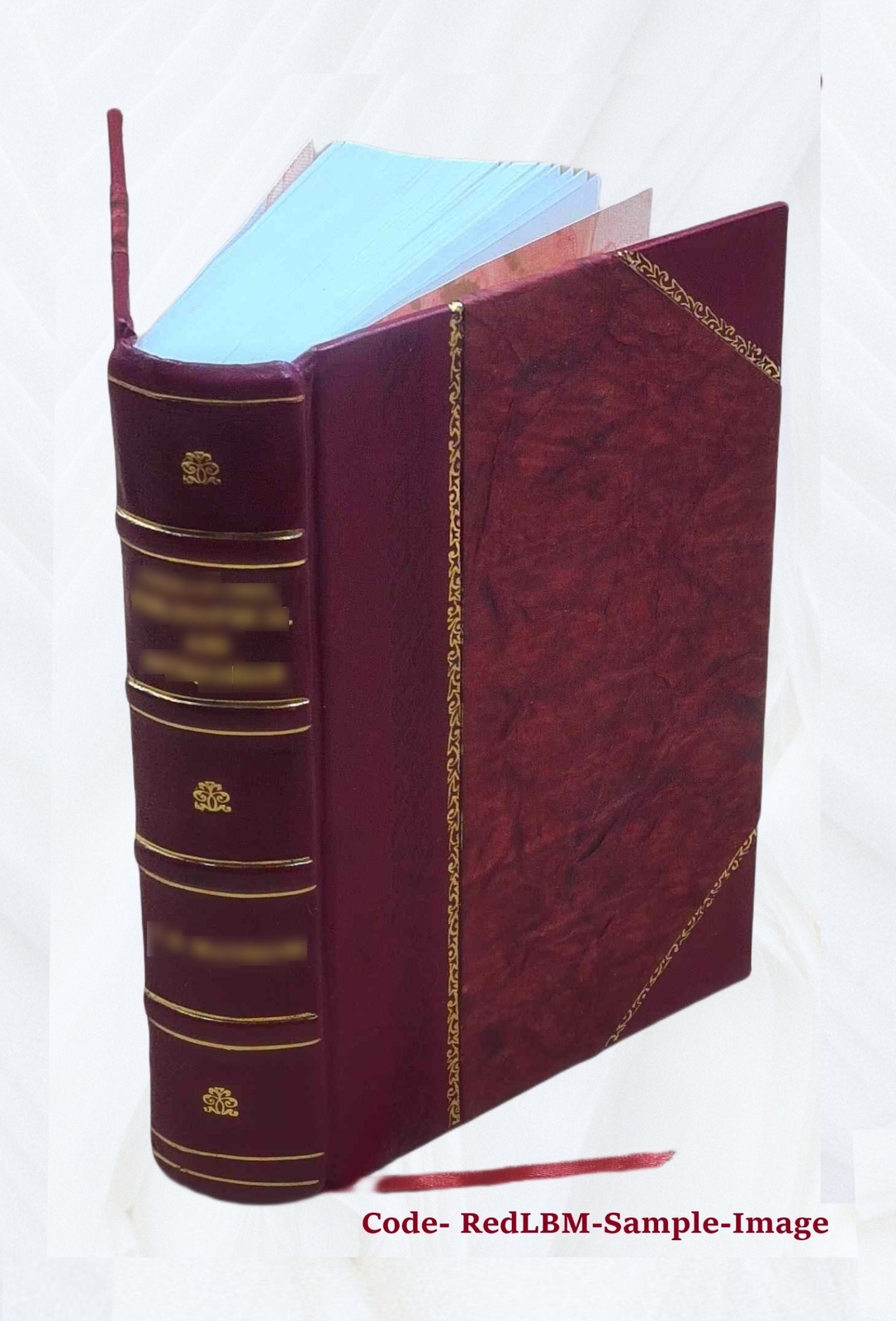 Encyclopaedia Of Superstitions Folklore And The Occult Sciences [Leather Bound]