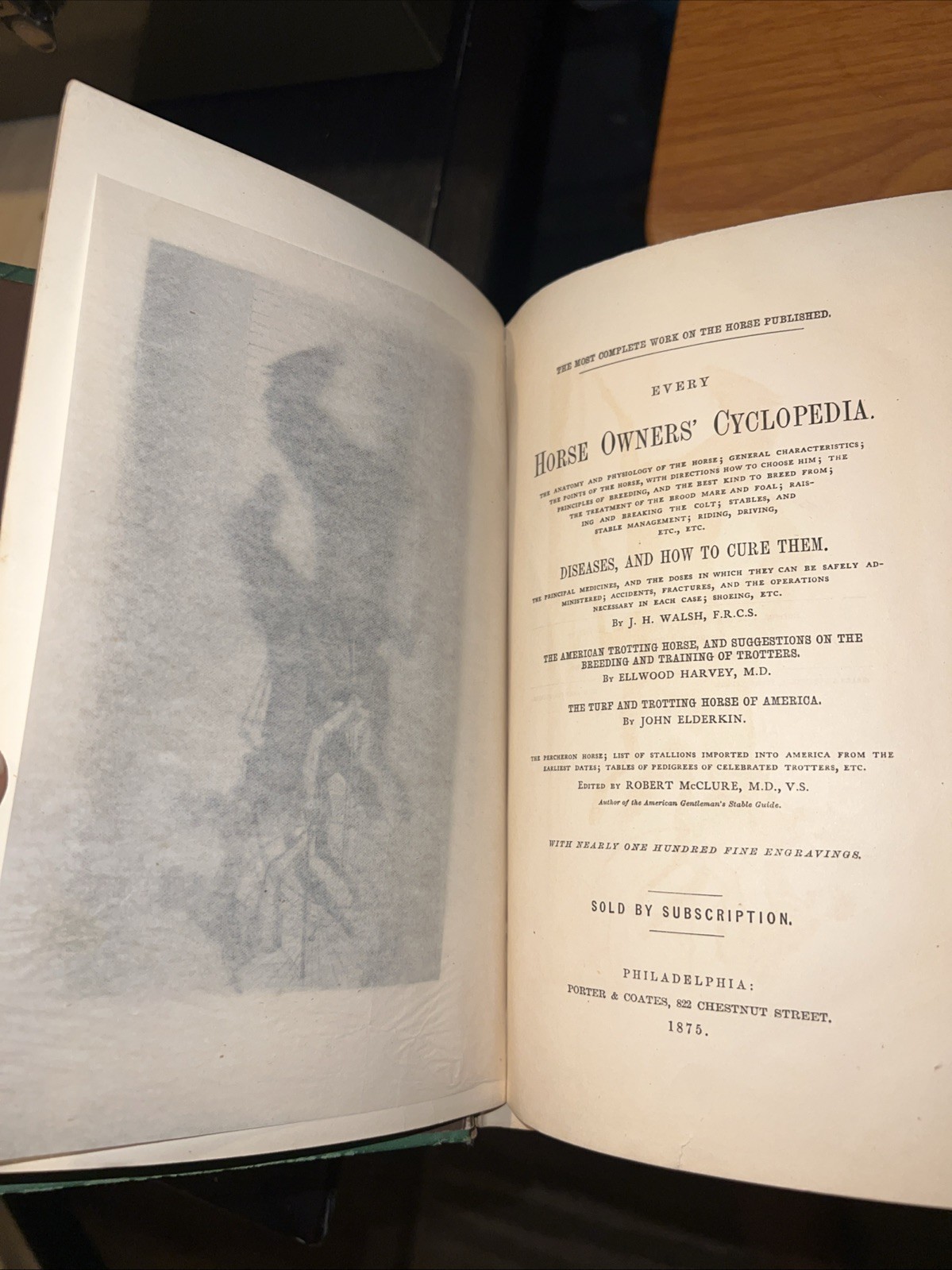 Every Horse Owners’ Cyclopedia – Diseases, And How To Cure Them 1875 & 1971
