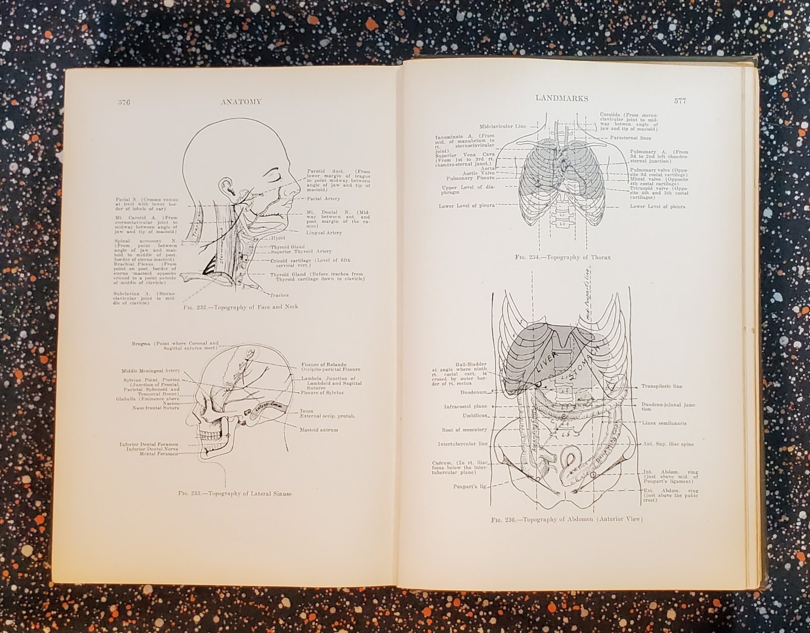 Medicine And The Allied Sciences, Samuel Fomon, Volume 1, 1919, Hardcover