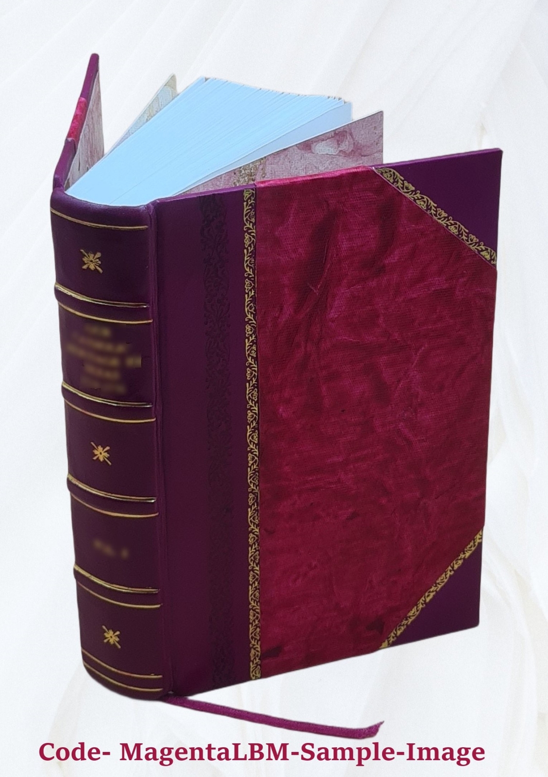 Encyclopaedia Of Superstitions Folklore And The Occult Sciences [Leather Bound]