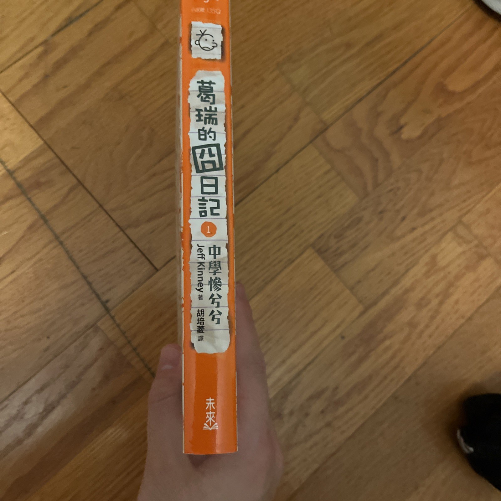VERY RARE Limited Edition Graffiti Edition Diary of a Wimpy Kid Taiwanese Ver.