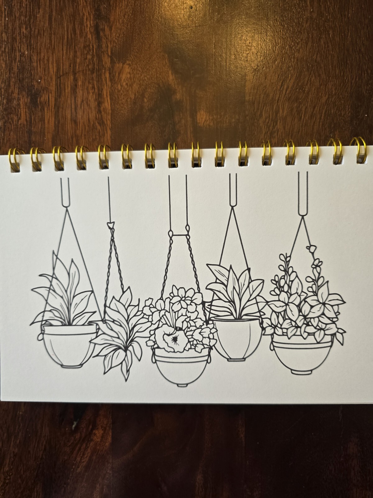 House Plants Coloring books for adults. A5 Size Coloring Book 8.5 in X 5.5 in.