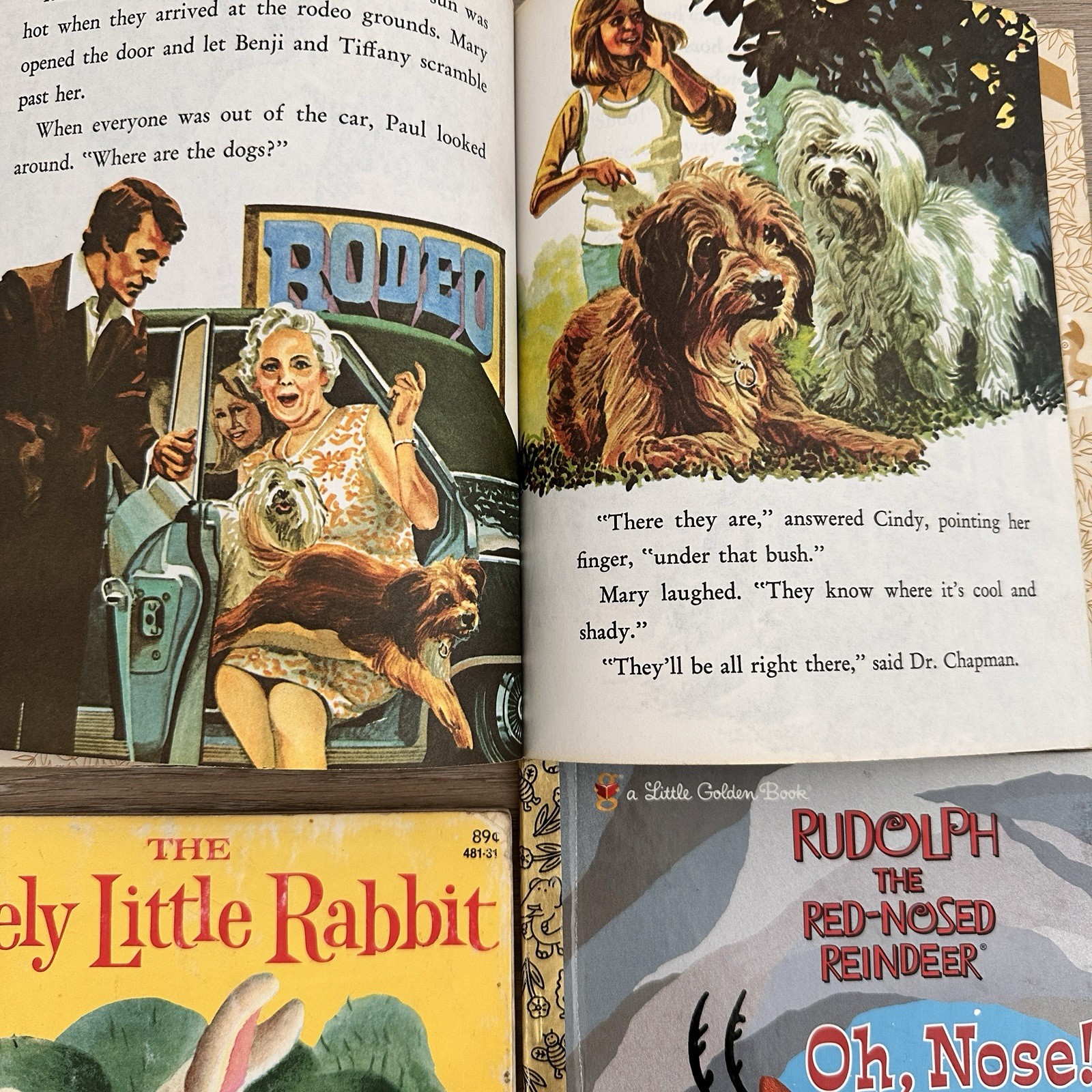 Vintage Little Golden Books Mixed Lot 12 Classics 1940s-70s Disney Sesame Street
