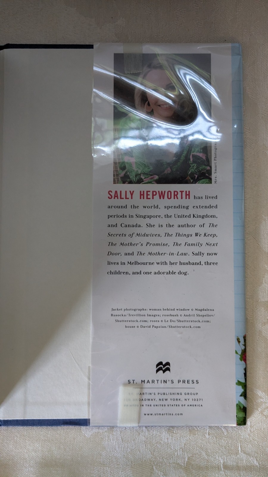 The Good Sister: A Novel – Sally Hepworth, 1250875161, paperback