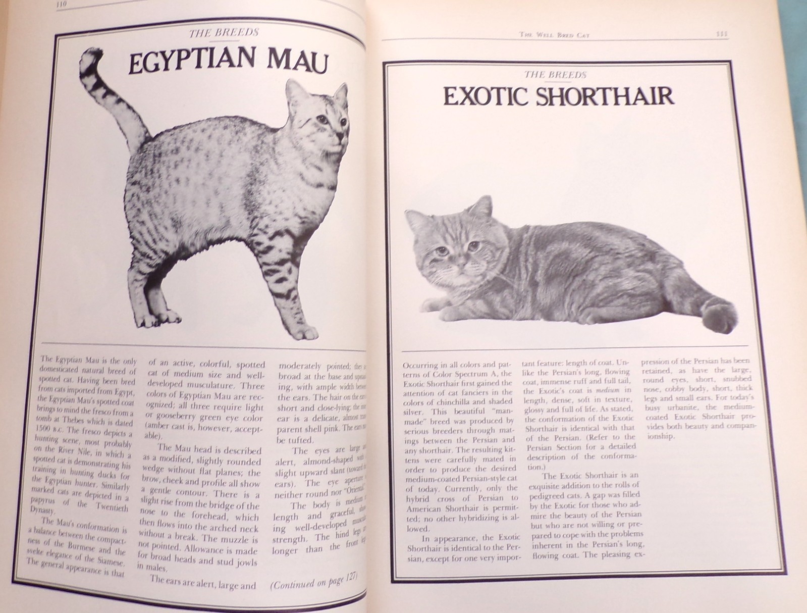 “Cat Catalog”, The Ultimate Cat Book, Large “Very Good” 1st Ed. Book, 352 pages