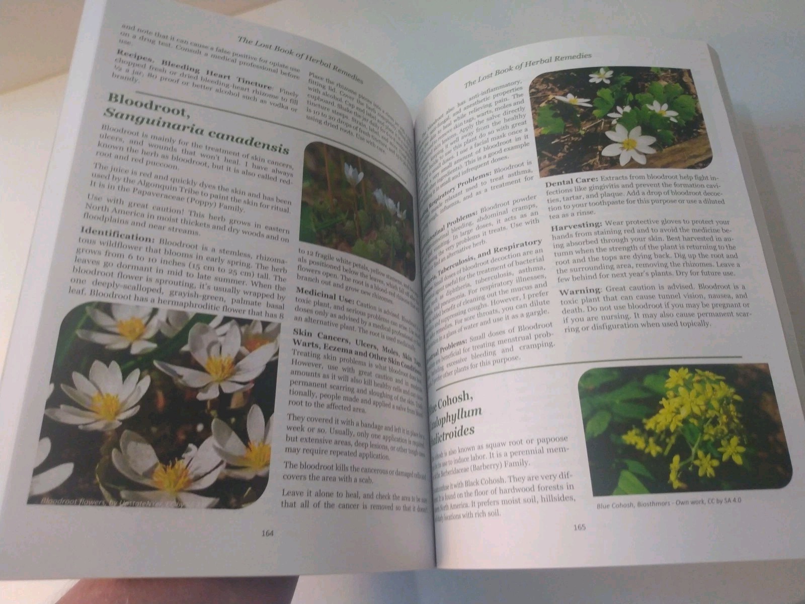 The Lost Book of Herbal Remedies: by Nicole Apelian & Claude Davis Paperback