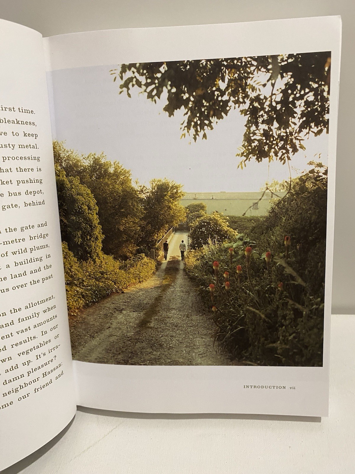Moro East, Clark, Samantha, Ebury Press, 2007, Hardcover Dust Jacket Iran Food