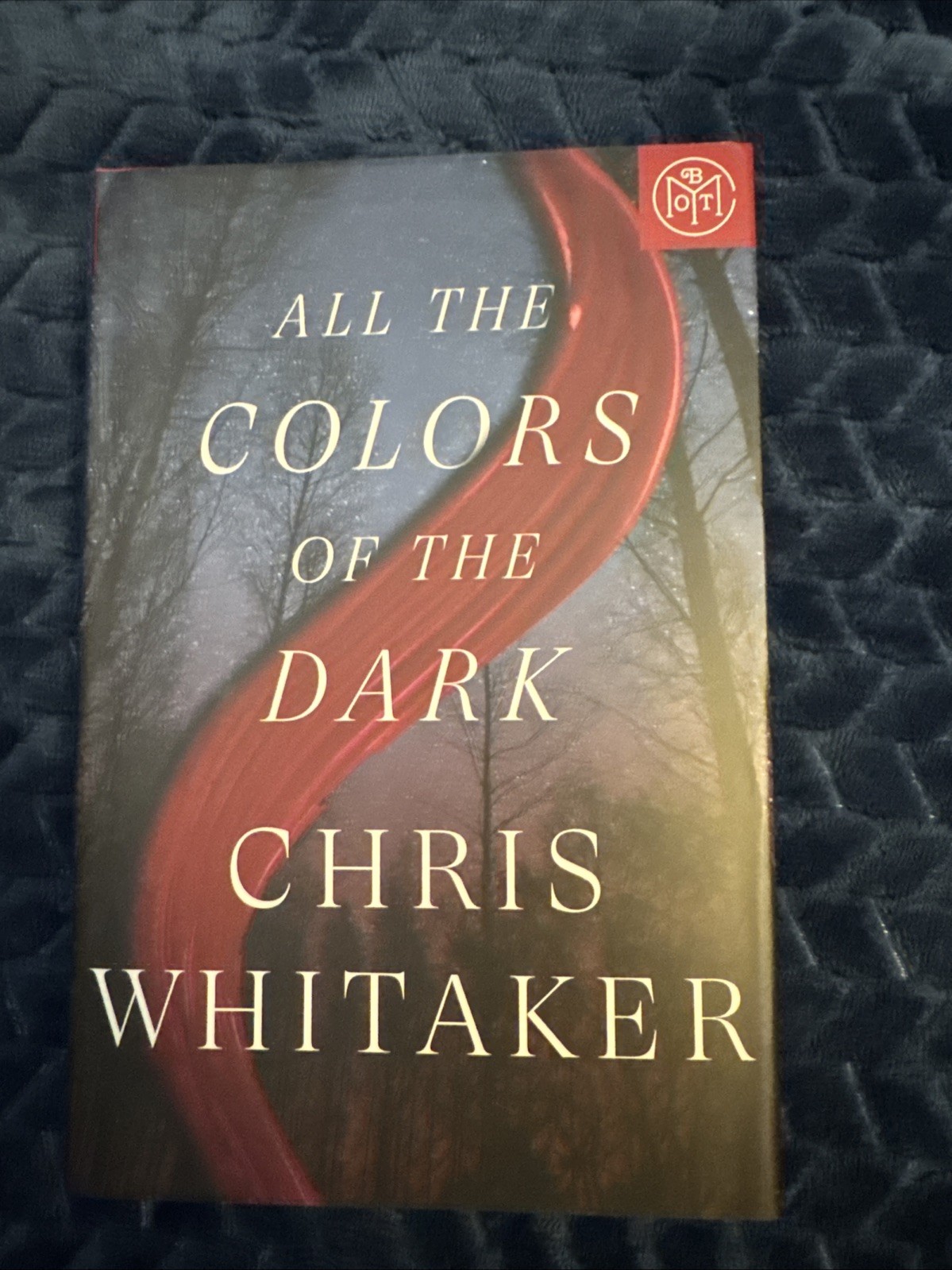 All the Colors of the Dark: a Read with Jenna Pick by Chris Whitaker (2024,…