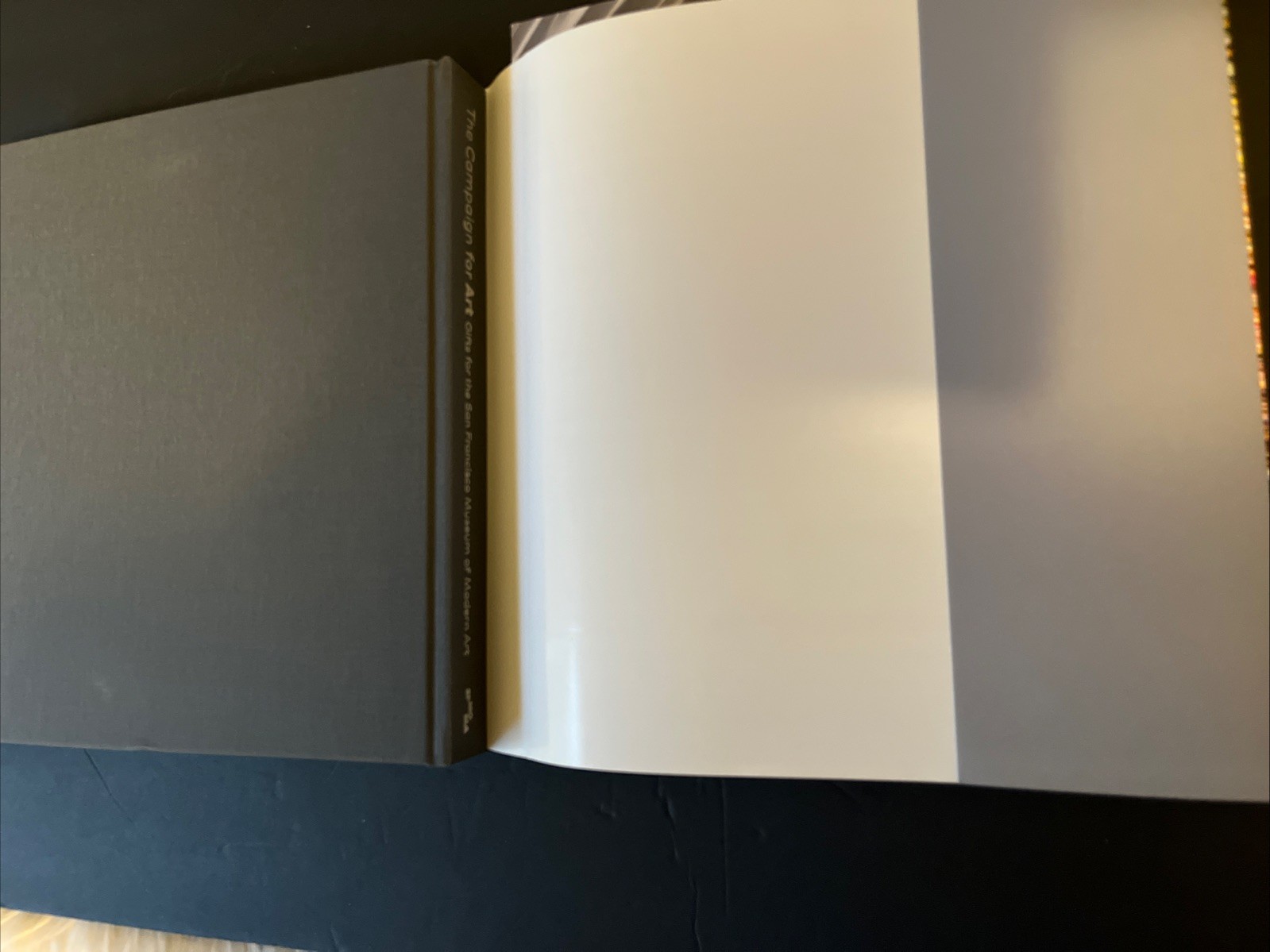 San Francisco MOMA Set Of 2 Books~ For Our Time & Compaign For Art