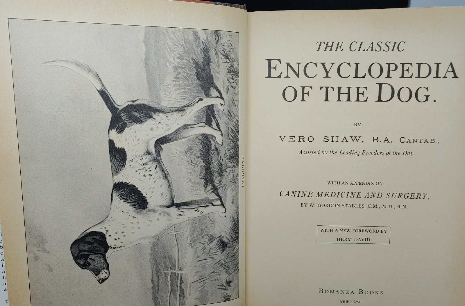 1984 REPRINT 1879-1881 CLASSIC ENCYCLOPEDIA OF THE DOG by VERO SHAW Art History