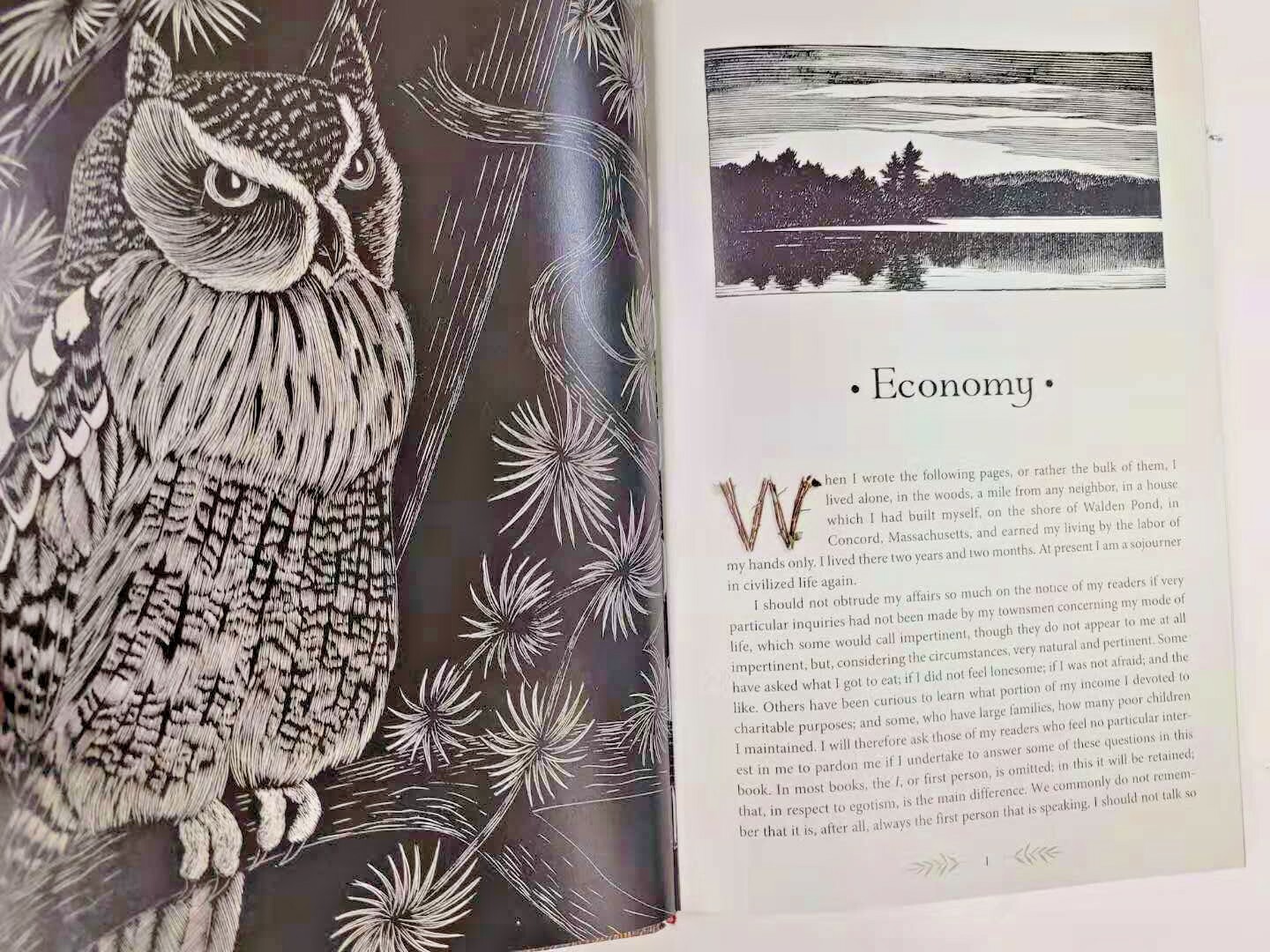 THE ILLUSTRATED WALDEN or Life in the Woods Henry David Thoreau Illustrated NEW